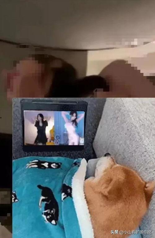 唐山事件爆料小伙视频,小伙勇敢曝光,还原现场惊心动魄瞬间 第2张 唐山事件爆料小伙视频,小伙勇敢曝光,还原现场惊心动魄瞬间 第2张