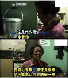 爆料婆婆后续故事视频播放,惊人真相揭露家庭风云  第3张